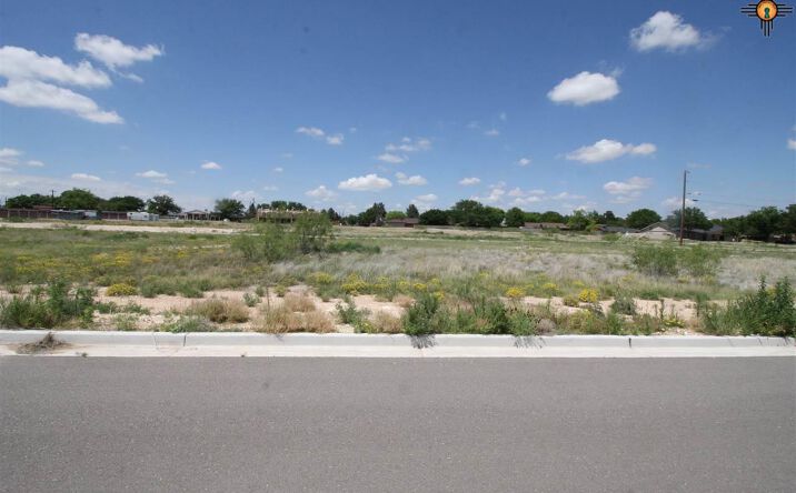 Pictures of Land property located at lot 8A block 8 W Avenue K Street, Lovington, NM 88260 for sales - image #1
