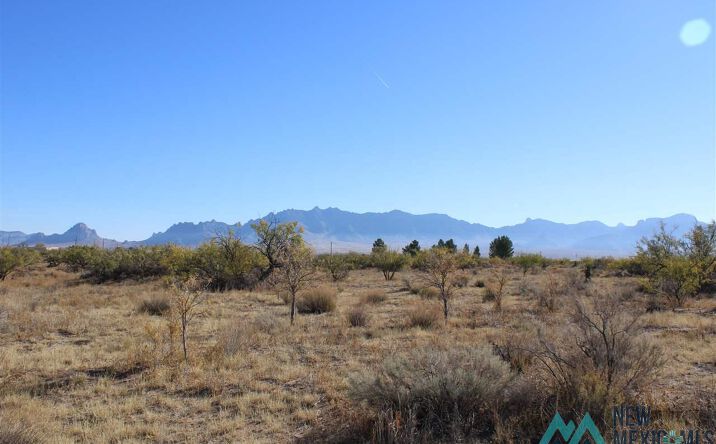 Pictures of Land property located at Flying Diamond Rd Sw, Deming, NM 88030 for sales - image #1
