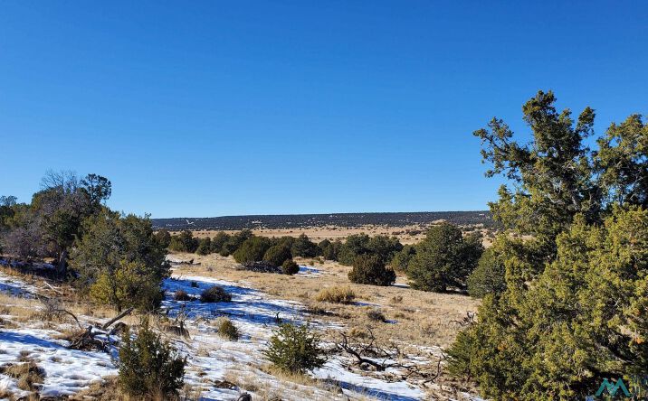 Pictures of Land property located at Indian Maiden Court, Quemado, NM 87829 for sales - image #1