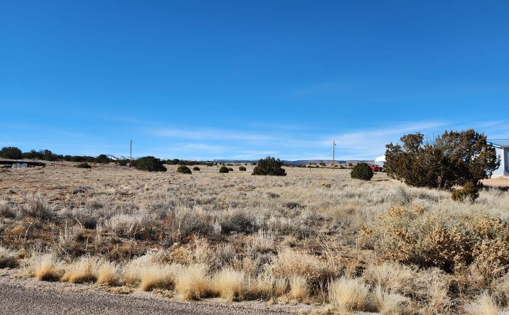 Pictures of Land property located at TBD Cemetery Road, Bluewater, NM 87005 for sales - image #1