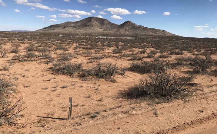 Pictures of Land property located at 0000 Pearl Onion Road, Deming, NM 88030 for sales - image #1