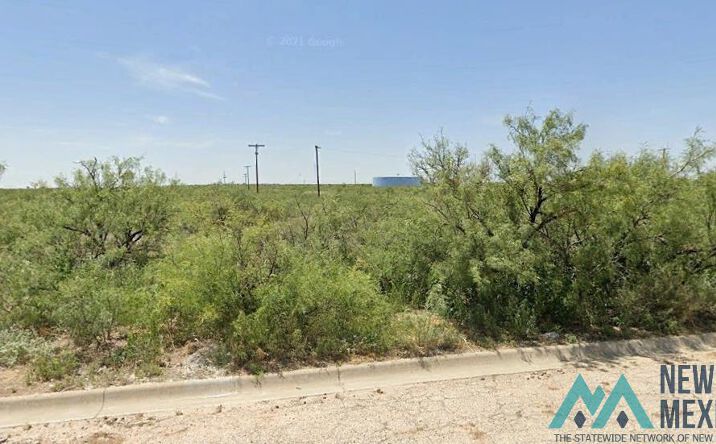 Pictures of Land property located at 607 S 8th Street Street, Jal, NM 88252 for sales - image #1