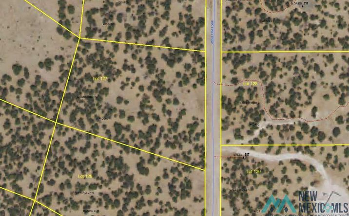 Pictures of Land property located at LOT 127 Agua Fria Loop, Quemado, NM 87829 for sales - image #1