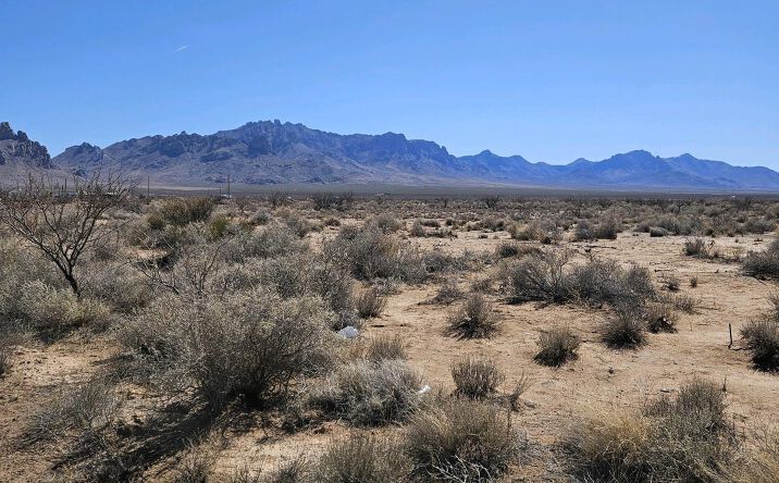 Pictures of Land property located at 000 Trocadero Rd Se, Deming, NM 88030 for sales - image #1