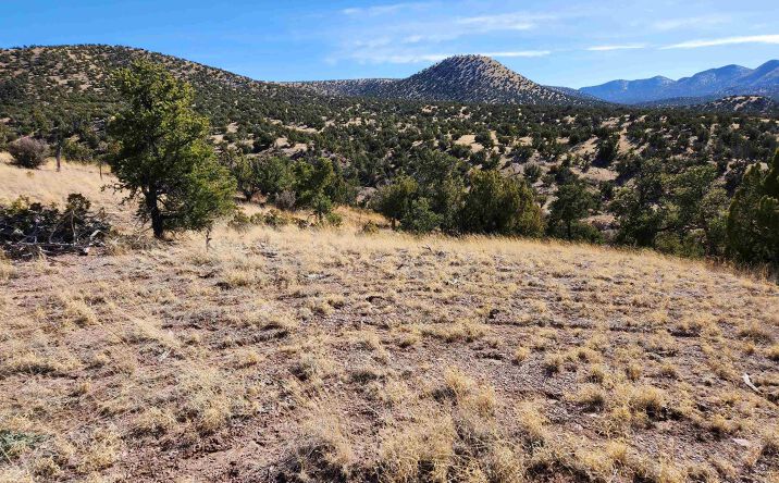 Pictures of Land property located at 0000 Tbd Nm 169 State Road, Magdalena, NM 87825 for sales - image #1