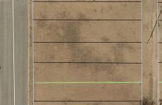 19251220