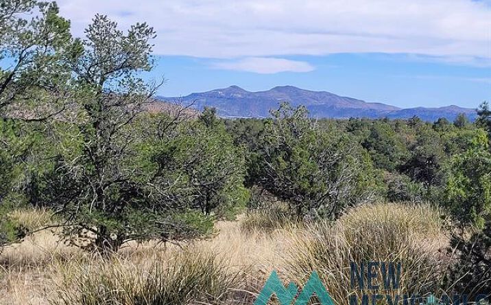 Pictures of Land property located at XX Moon Shadow Road, Hanover, NM 88041 for sales - image #1