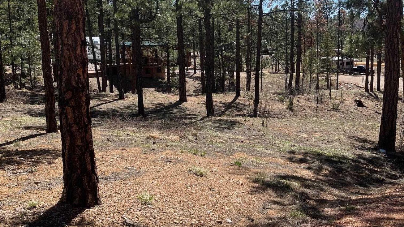 86 Clubhouse Drive, Rociada, NM 87742