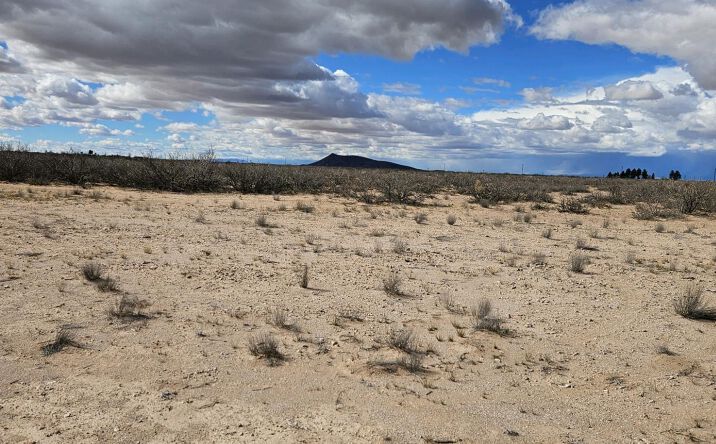 Pictures of Land property located at XXXX NW Horseshoe Rd, Deming, NM 88030 for sales - image #1