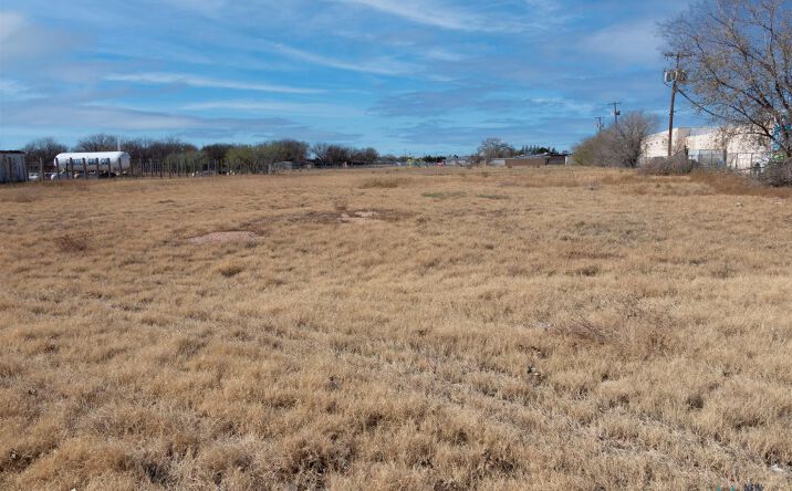 Pictures of Land property located at 7776 Nm  206 Road, Portales, NM 88130 for sales - image #1