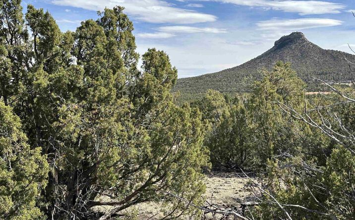 Pictures of Land property located at 5.045 acres Frontage Road 2116 Road, Serafina, NM 87569 for sales - image #1