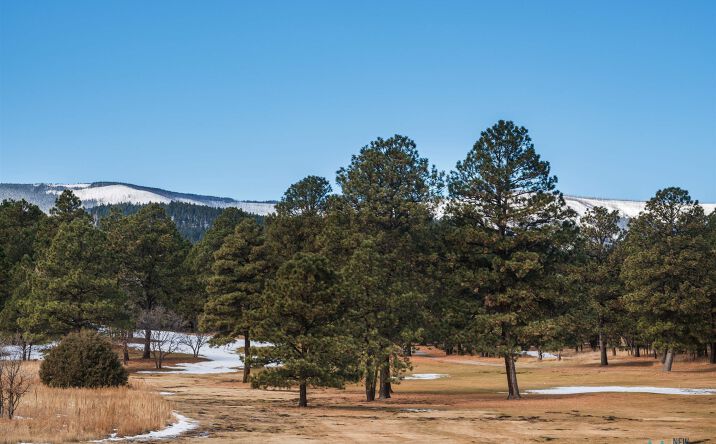 Pictures of Land property located at Lot 46 Camino Facil Road, Rociada, NM 87742 for sales - image #1