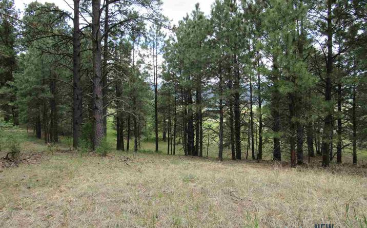 Pictures of Land property located at 1 & 2 Chapel Rd & Cr A34, Rociada, NM 87742 for sales - image #1