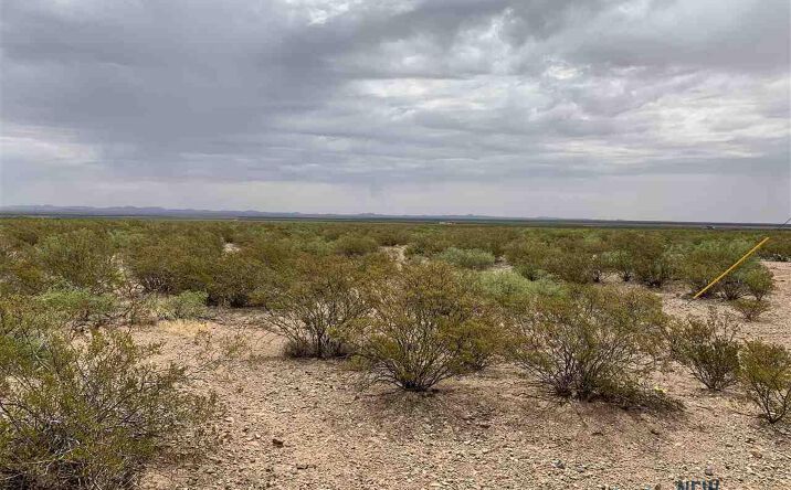 Pictures of Land property located at XXXX Columbus Hwy 11, Columbus, NM 88029 for sales - image #1