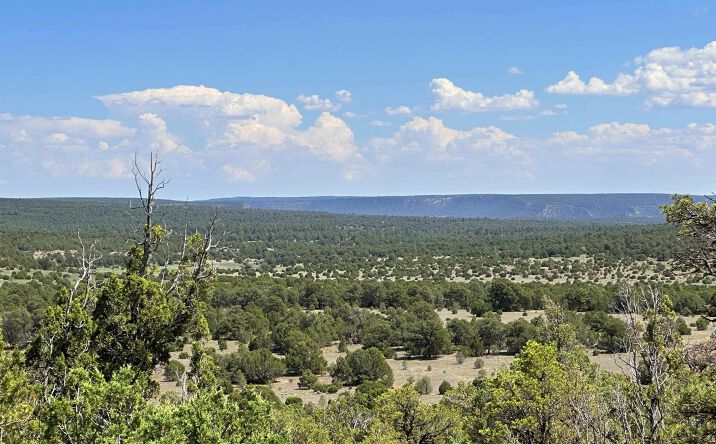 Pictures of Land property located at Lot 7 Tierra De Dios, Rowe, NM 87562 for sales - image #1
