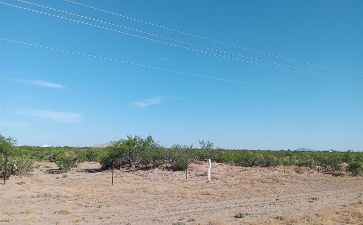 Pictures of Land property located at 0000 S Columbus Rd Roads, Deming, NM 88030 for sales - image #1