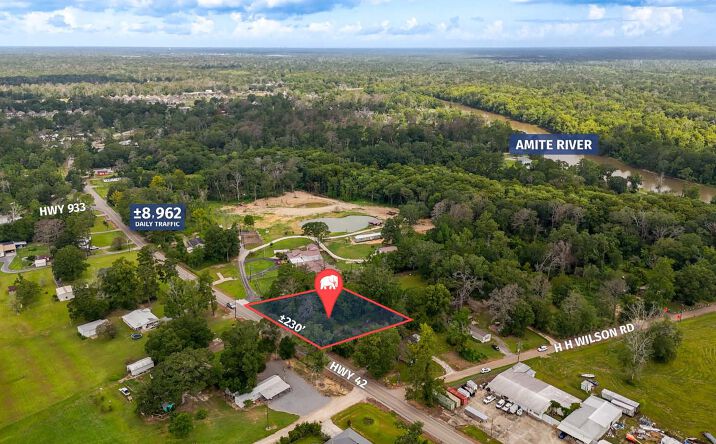 Pictures of Land property located at 44098 LA-42, Prairieville, LA 70769 for sales - image #1