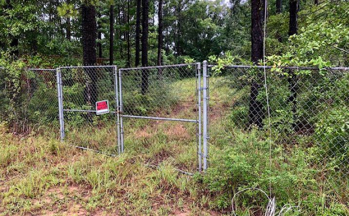 Pictures of Land property located at NHN Hwy 11 North, Carriere, MS 39426 for sales - image #1