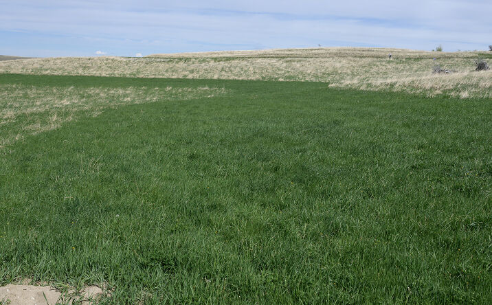 Pictures of Land property located at Horseshoe Mdw Ln #2, Buffalo, WY 82834 for sales - image #1