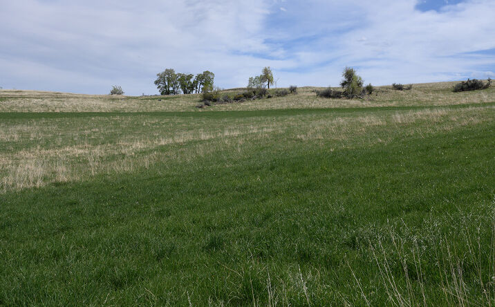 Pictures of Land property located at Horseshoe Mdw Ln #3, Buffalo, WY 82834 for sales - image #1