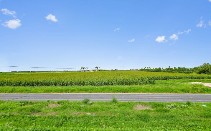 Pictures of Land property located at 33.84 FM 506, Santa Rosa, TX 78593 for sales - image #1