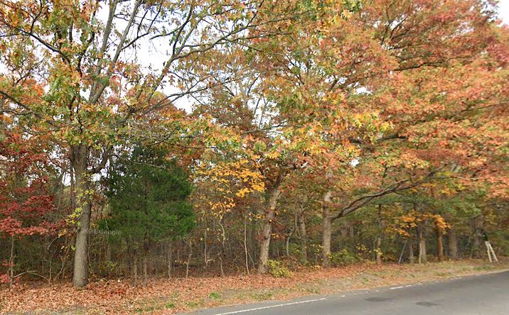 Pictures of Land property located at Old Town Rd, Coram, NY 11727 for sales - image #1