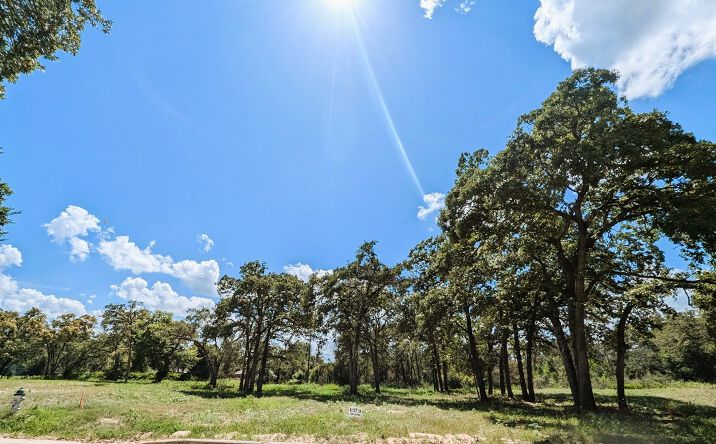Pictures of Land property located at Ortega St, Rockdale, TX 76567 for sales - image #1