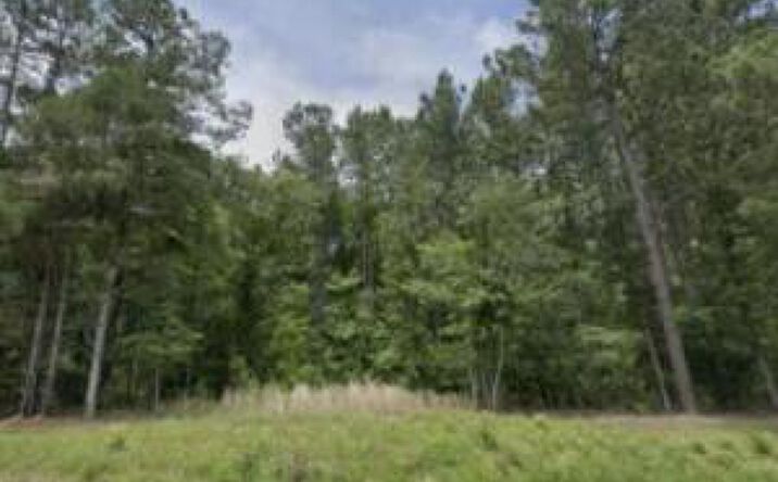 Pictures of Land property located at Lot B Daniel Avenue, Johnston, SC 29832 for sales - image #1
