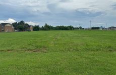 19339194