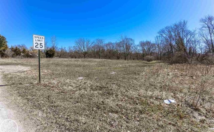 Pictures of Land property located at VL Meadowlawn Lane, North Lakeport, MI 48059 for sales - image #1