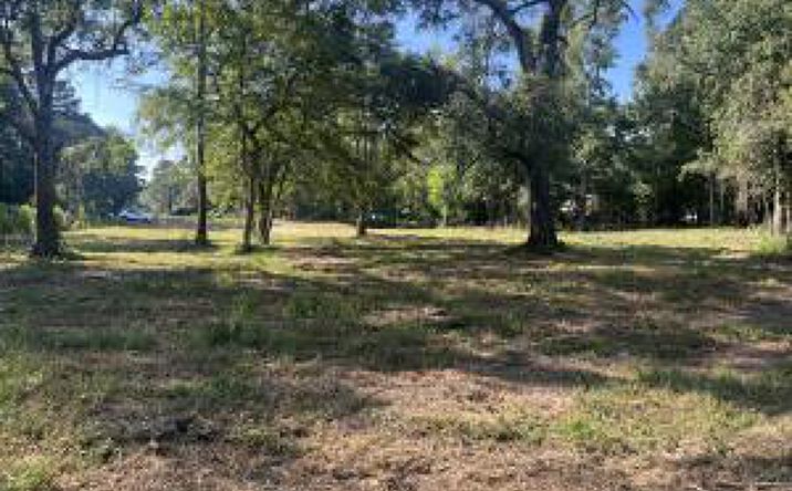Pictures of Land property located at 2.6 Acre Lee Street, Johnston, SC 29832 for sales - image #1