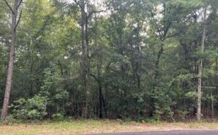 Pictures of Land property located at Lot 14 Fairway Lane, Barnwell, SC 29812 for sales - image #1