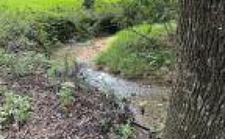 Pictures of Land property located at 1.5 Acre Lakeview Drive, Johnston, SC 29832 for sales - image #1