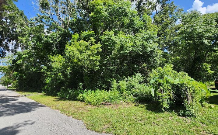 Pictures of Land property located at 00 W Park Street, Lake Helen, FL 32744 for sales - image #1