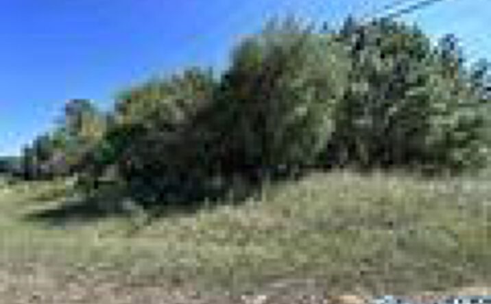 Pictures of Land property located at Hwy 35, Hamilton, AL 35570 for sales - image #1