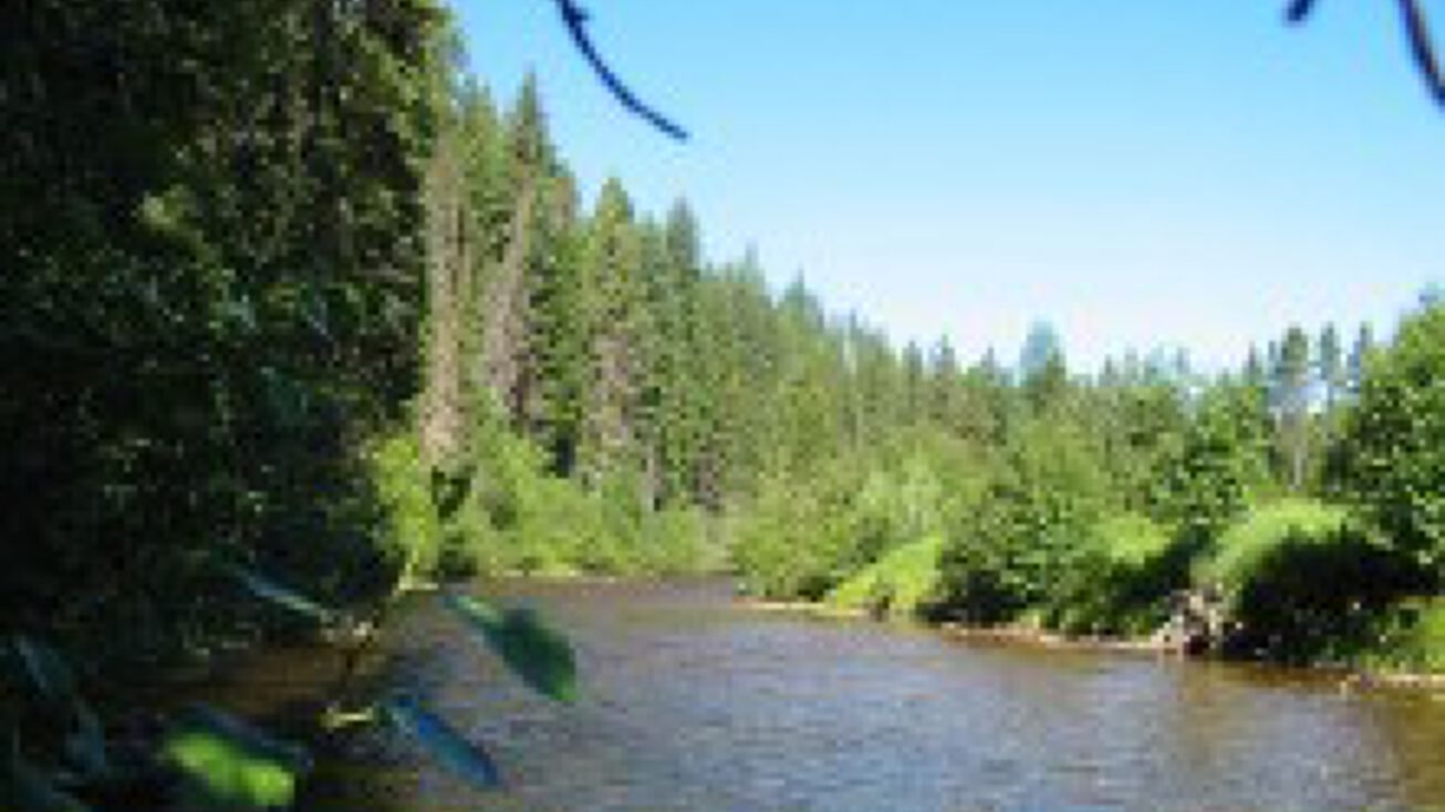 NHN Lolo Creek Road, Lolo, MT 59847