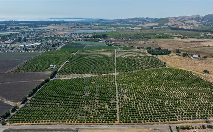 Pictures of Land property located at 215 Rancho, Nipomo, CA 93444 for sales - image #1