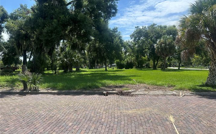 Pictures of Land property located at 708 N Missouri Avenue, Lakeland, FL 33815 for sales - image #1