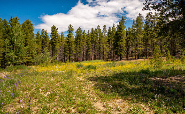 Pictures of Land property located at 609 Mountain View Dr, Leadville, CO 80461 for sales - image #1