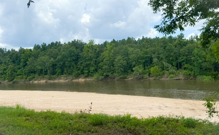 Pictures of Land property located at 2610 FL-4, Jay, FL 32565 for sales - image #1