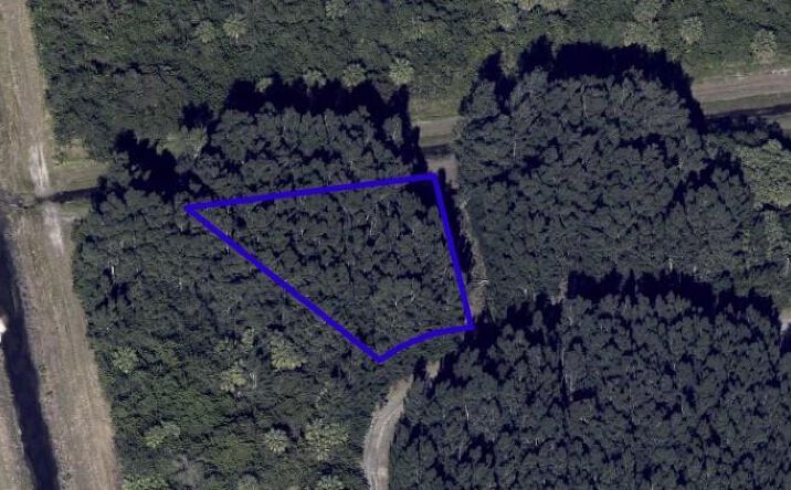 Pictures of Land property located at 895 Wisham Street Sw, Palm Bay, FL 32908 for sales - image #1