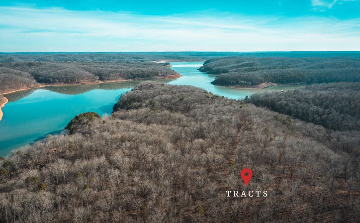image of property at LOT C COUNTY ROAD 417 Webb MO 63638