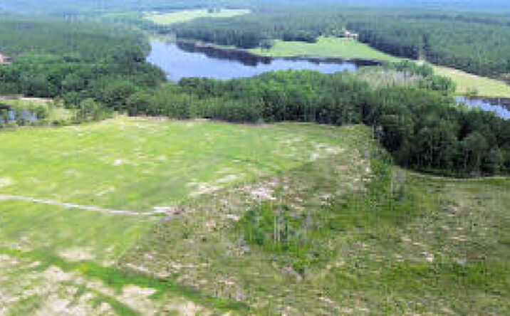 Pictures of Land property located at 0 Laughlin Loop, Aiken, SC 29805 for sales - image #1
