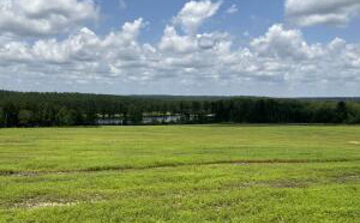 Pictures of Land property located at 0 Laughlin Loop Road, Aiken, SC 29805 for sales - image #1