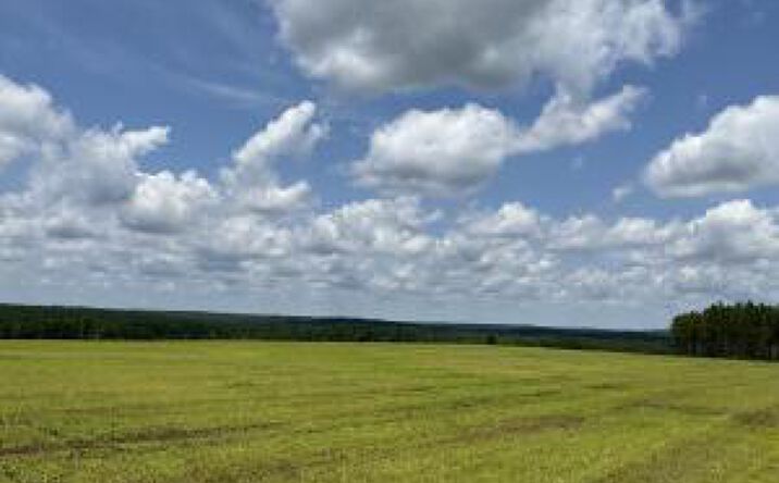 Pictures of Land property located at 0 Laughlin Loop, Aiken, SC 29805 for sales - image #1