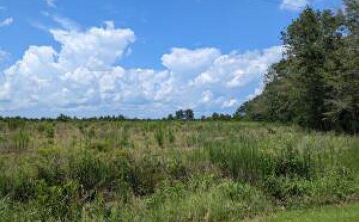 Pictures of Land property located at 000 Hollow Creek Road, Salley, SC 29137 for sales - image #1