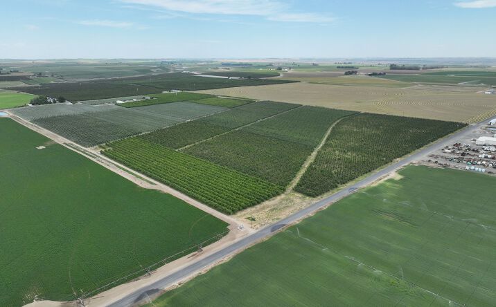 Pictures of Land property located at 431 Buffalo Rd, Mesa, WA 99343 for sales - image #1