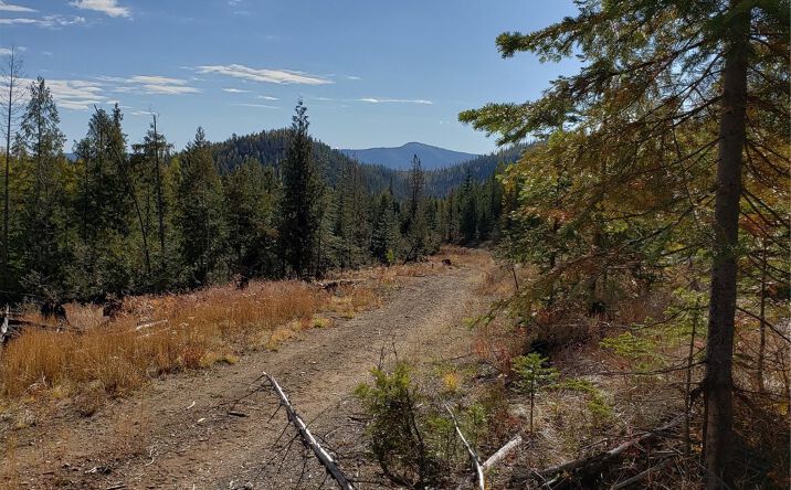 Pictures of Land property located at 114a Packer Creek Road, Haugan, MT 59842 for sales - image #1