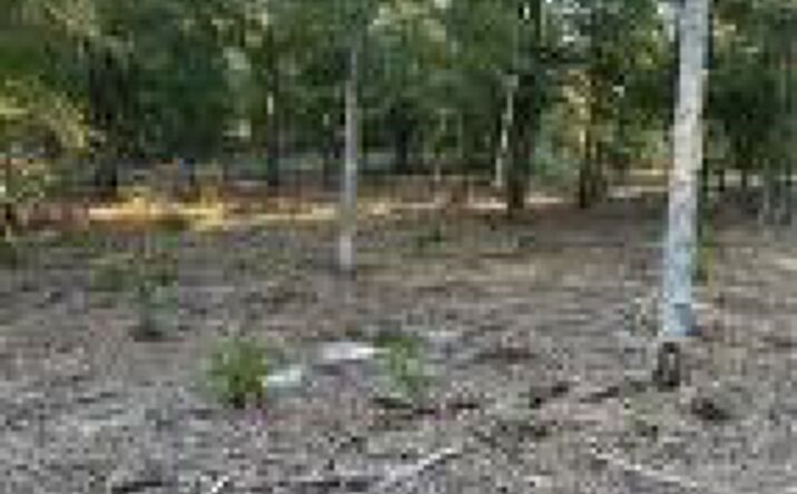 Pictures of Land property located at 5 Long Branch Road, Salley, SC 29137 for sales - image #1