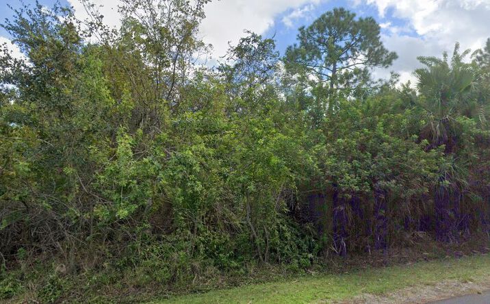 Pictures of Land property located at 3077 Tivoli Avenue SE, Palm Bay, FL 32909 for sales - image #1